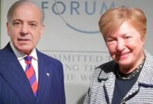 Shahbaz Sharif and the Managing Director of the IMF