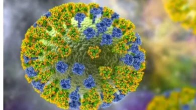 AI-designed bacteriophages targeting bacteria in biological research